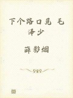 下个路口见 毛泽少